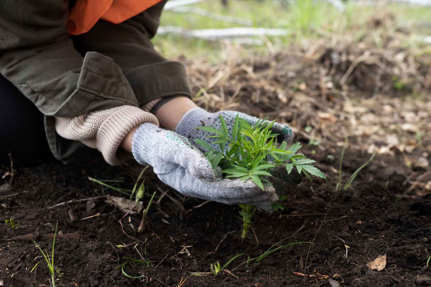 Best Commercial Tree Services  in The Hammocks, FL